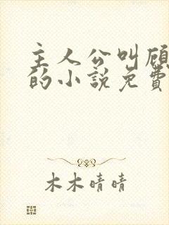 主人公叫顾北弦的小说免费阅读