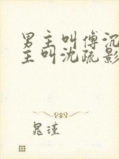 男主叫傅沉舟女主叫沈疏影的小说