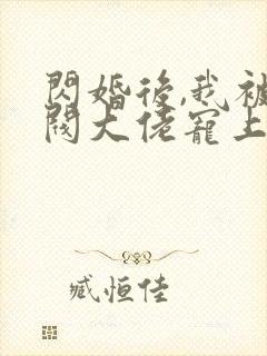 闪婚后,我被财阀大佬宠上天