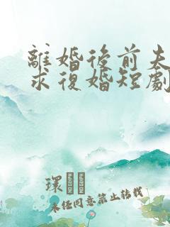 离婚后前夫跪着求复婚短剧