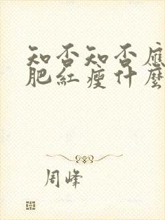 知否知否应是绿肥红瘦什么季节