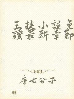 王扶小说免费阅读最新章节无弹窗