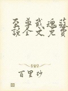 至尊武魂苏莫小说全文免费阅读