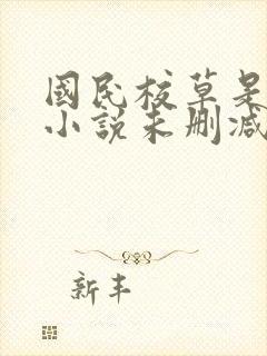 国民校草是女生小说未删减版