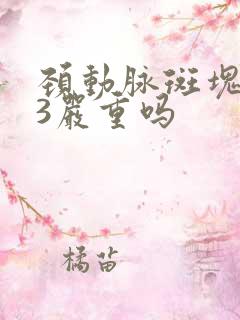 颈动脉斑块0.3严重吗