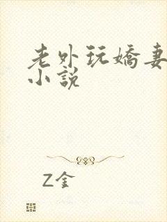 老外玩娇妻长篇小说