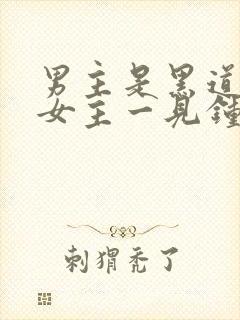 男主是黑道,对女主一见钟情