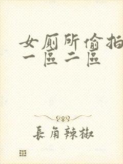 女厕所偷拍视频一区二区