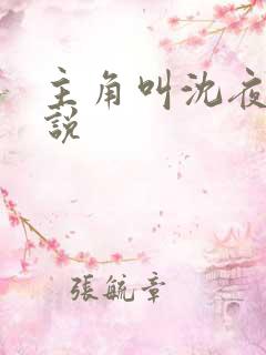 主角叫沈夜的小说