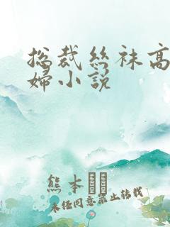 总裁丝袜高跟熟妇小说