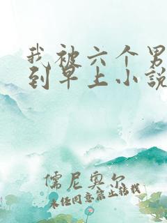 我被六个男人躁到早上小说