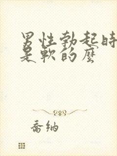 男性勃起时龟头是软的么