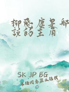 柳飞尘是哪部小说的主角