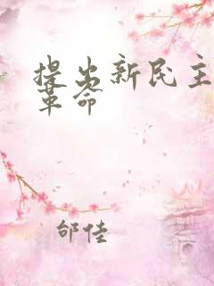 提出新民主主义革命