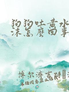 狗狗吐黄水吐白沫怎么回事