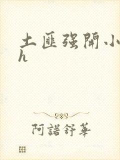 土匪强开小嫩苞h