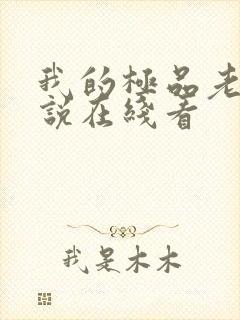 我的极品老婆小说在线看