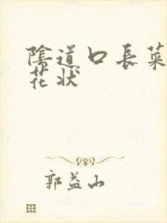 阴道口长菜花菜花状