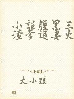 小说腹黑三宝:渣爹追妻火葬场