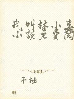 我叫林小喜全文小说免费阅读