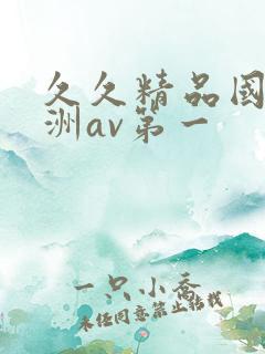 久久精品国产亚洲av第一