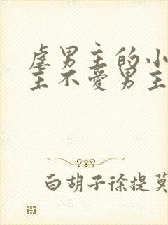 虐男主的小说女主不爱男主