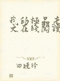 我的极品老婆全文在线阅读