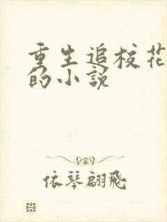 重生追校花老妈的小说