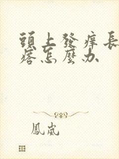 头上发痒长红疙瘩怎么办