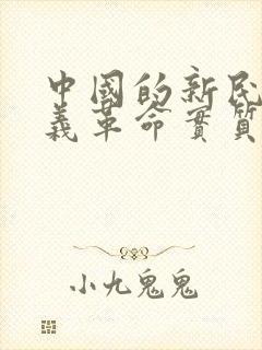 中国的新民主主义革命实质