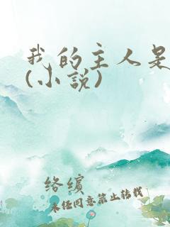 我的主人是妹妹(小说)