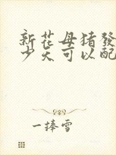 新花母猪发情多少天可以配种