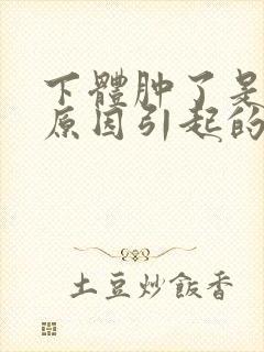 下体肿了是什么原因引起的男