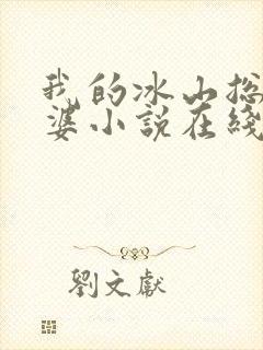 我的冰山总裁老婆小说在线阅读