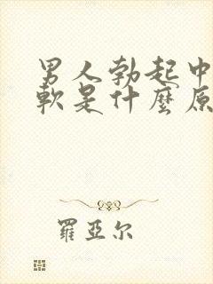 男人勃起中途变软是什么原因引起的