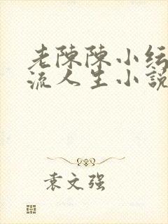 老陈陈小纭的风流人生小说免费阅读