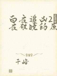 白夜追凶2·白夜破晓的原著