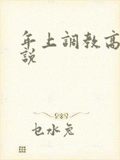 年上调教高h小说