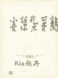 小说我可能不会爱你免费阅读