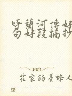 呼兰河传好词好句好段摘抄大全