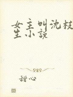 女主叫沈枝的重生小说