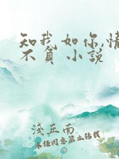 知我如你,情深不负 小说