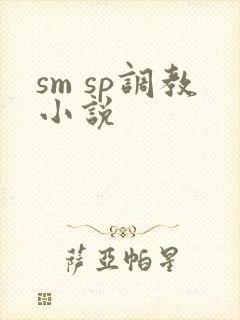 sm sp调教小说