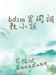 bdsm男同调教小说