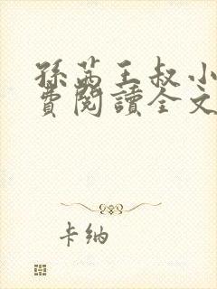 孙茜王叔小说免费阅读全文最新章节