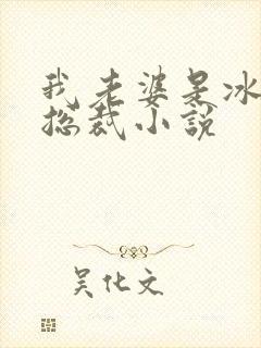 我老婆是冰山女总裁小说