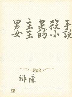 男主是杀手爱上女主的小说