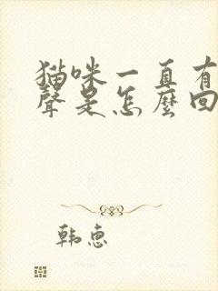 猫咪一直有呼噜声是怎么回事