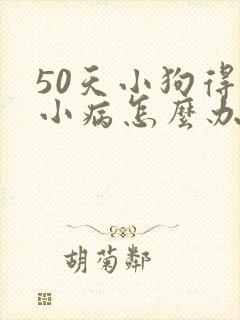 50天小狗得细小病怎么办