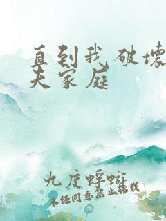 直到我破坏了丈夫家庭
